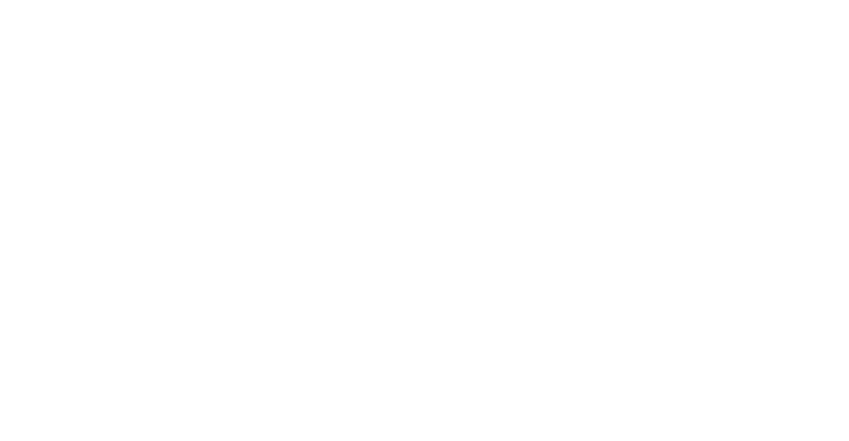 website-logo-white